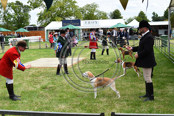 Festival of Hounds 2024