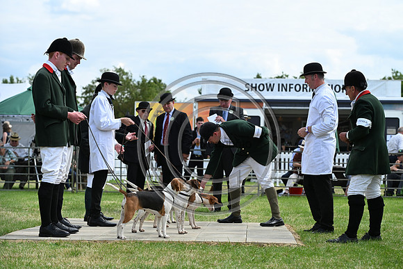 Festival of Hounds 2024