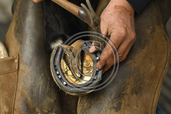 Nigel Perrott_Farrier_PN20_51825
