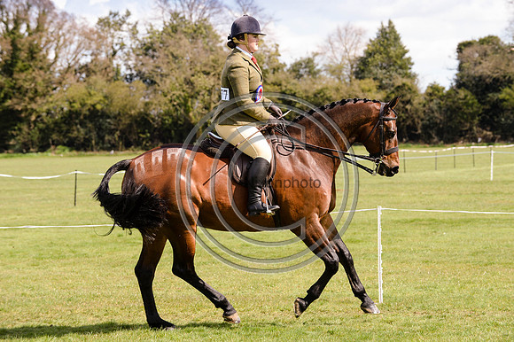 HorseNo677_BSPSArea1615pn_6836