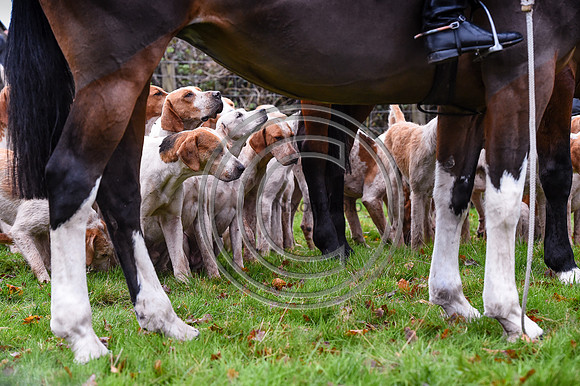 Ludlow Hunts