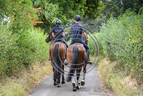 Collective Equestrian
