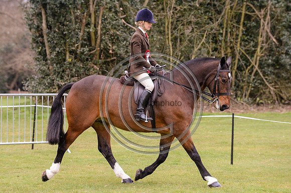 HorseNo548_BSPSArea1615pn_6776