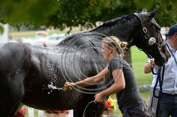 PhilBrown_HarryRobinson_LRBHT.jpg47754