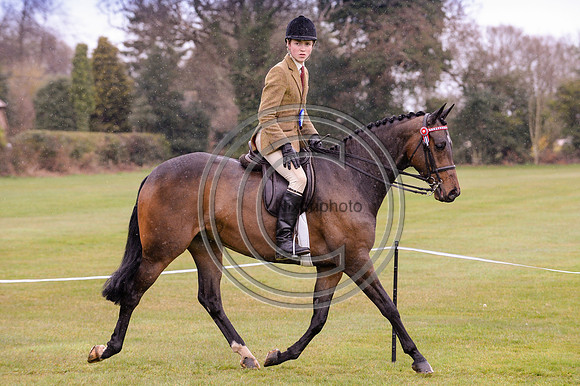 HorseNo650_BSPSArea1615pn_6803