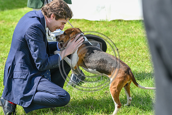 Festival of Hounds 2024