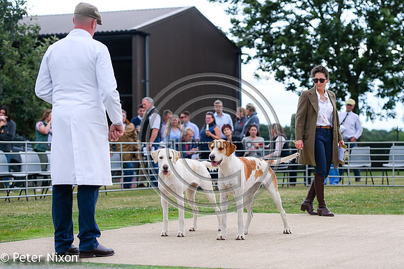 PrePuppyShow_BWCH_Hunt_PN22_27447