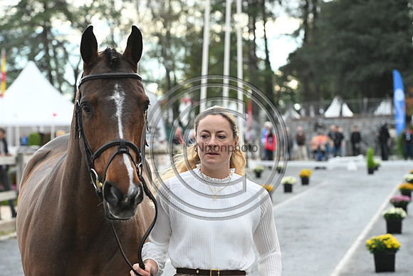 Caroline HARRIS_D. DAY_Pau_PN24_177569