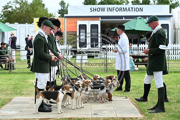 Festival of Hounds 2024