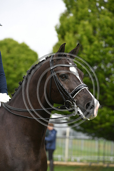 Valegro_RWHS_PN19_12885