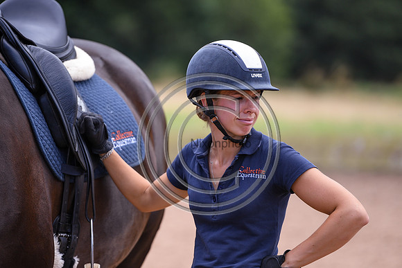 Collective Equestrian