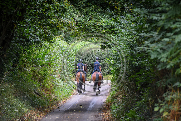 Collective Equestrian