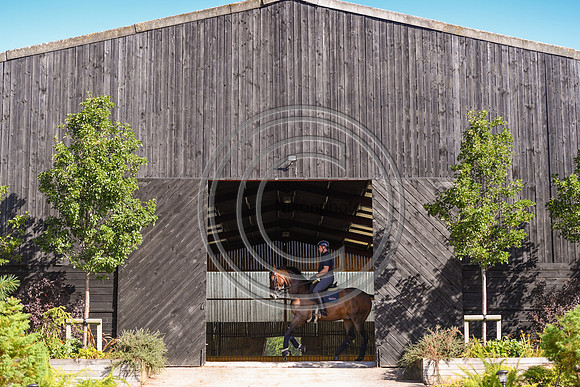 Collective Equestrian