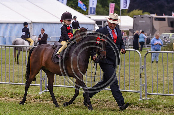 HorseNo1112_Bakewell15pn_31411