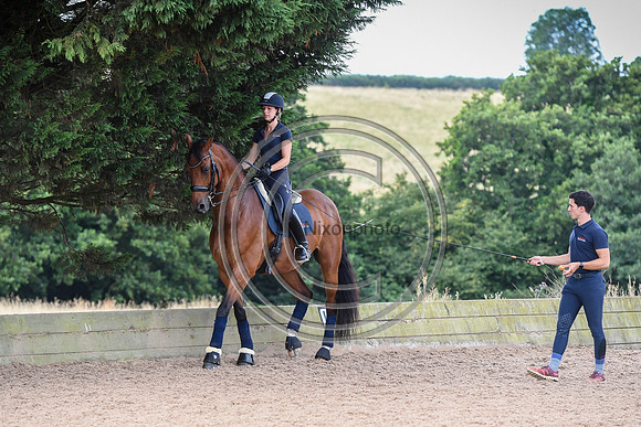 Collective Equestrian