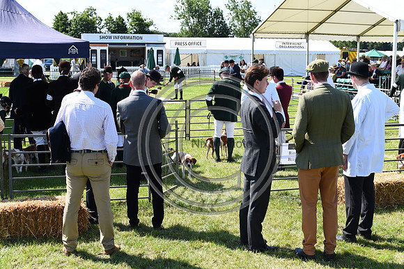 Festival of Hounds 2024