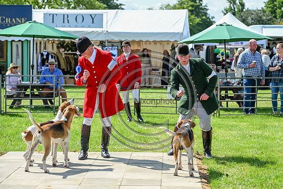 Festival of Hounds 2024