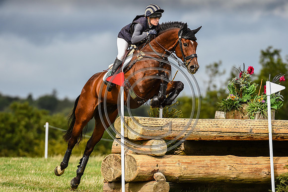 HorseNo561_Burgham_20PN_84878