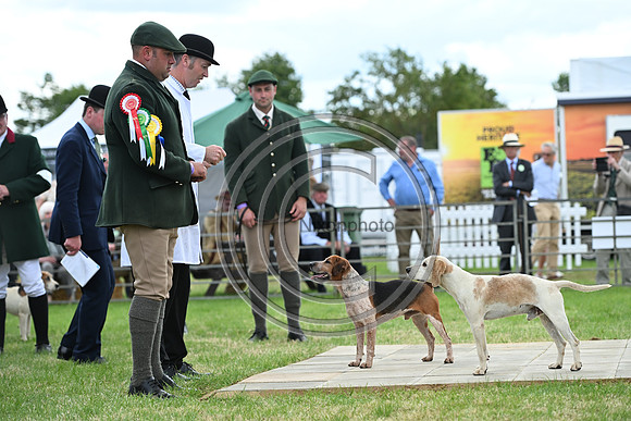 Festival of Hounds 2024