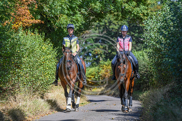 Collective Equestrian