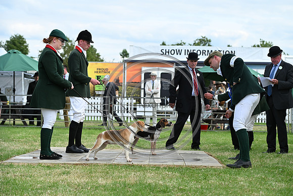 Festival of Hounds 2024