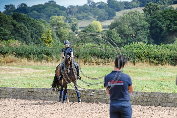 Collective Equestrian