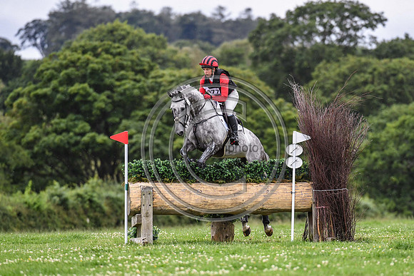 HorseNo1077_Burgham_20PN_91175