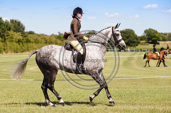 HorseNo1157_ShowRegSGS15pn_28637