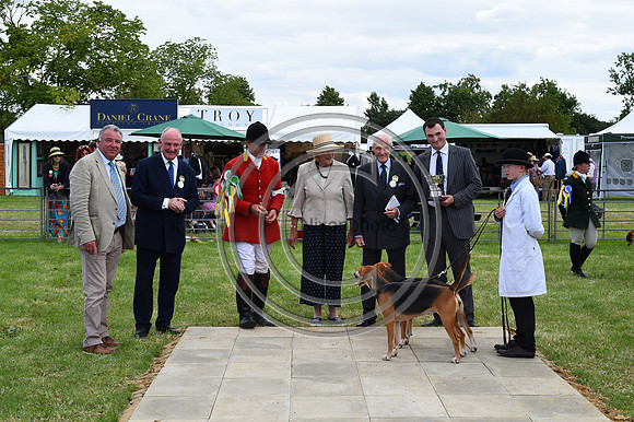Festival of Hounds 2024