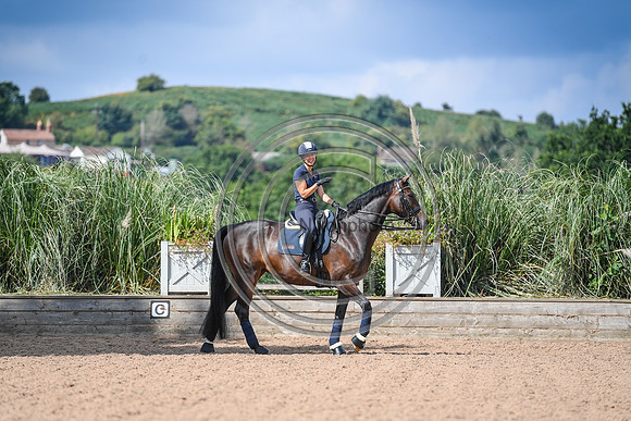 Collective Equestrian