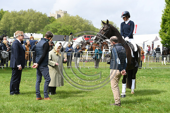 Valegro_RWHS_PN19_12978