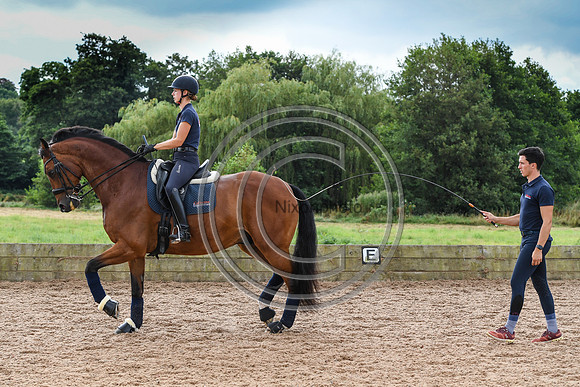 Collective Equestrian