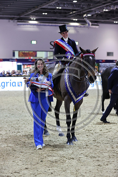Lady Buttons_Jennie Durrans_LIHS_PN24_9907