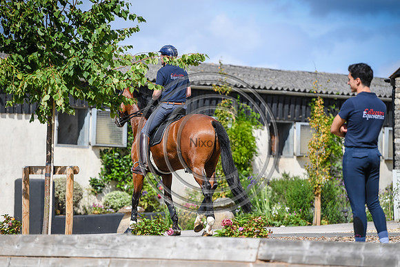 Collective Equestrian