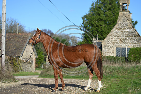 Mare_Selwood_PN35