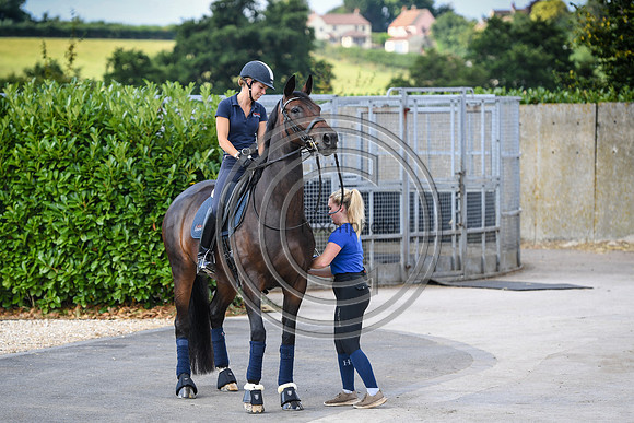 Collective Equestrian