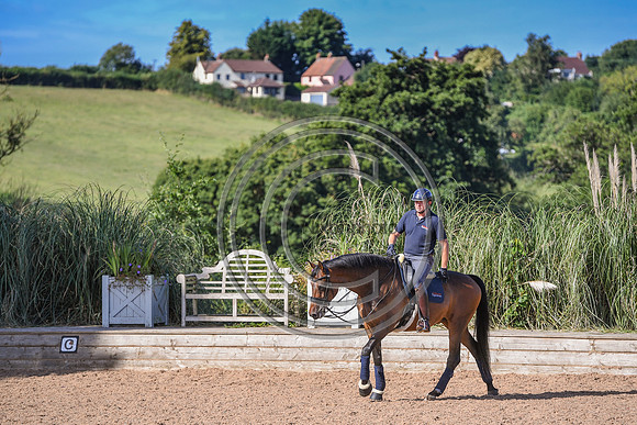 Collective Equestrian