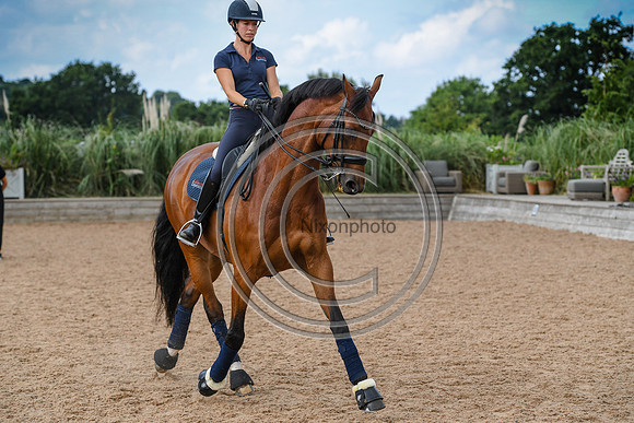 Collective Equestrian