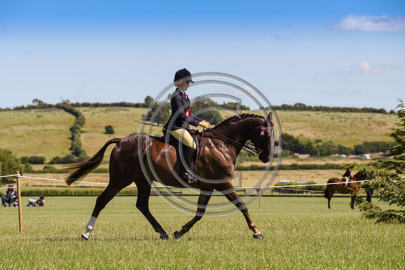 HorseNo514_ShowRegSGS15pn_28629