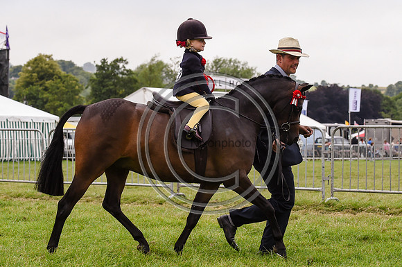 HorseNo1112_Bakewell15pn_31414