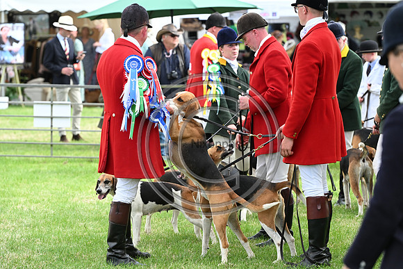 Festival of Hounds 2024