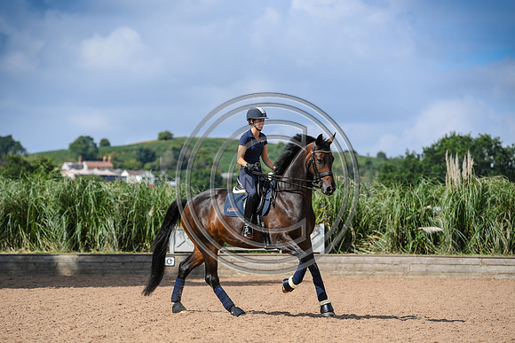 Collective Equestrian