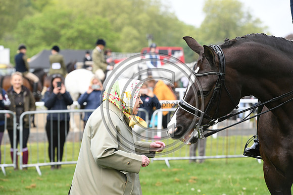 Valegro_RWHS_PN19_12954
