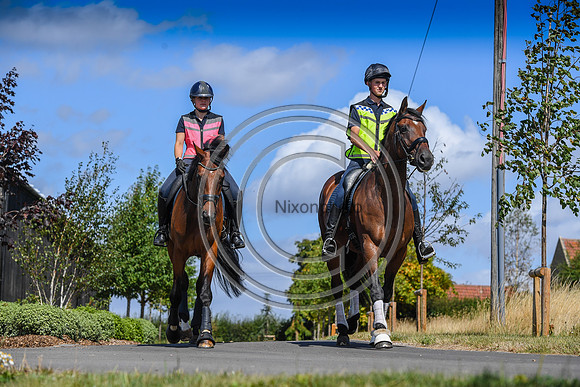 Collective Equestrian