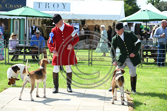 Festival of Hounds 2024