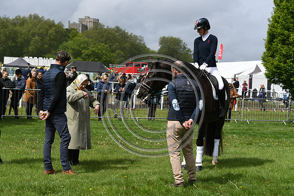 Valegro_RWHS_PN19_12986