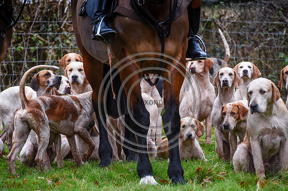 Ludlow Hunts