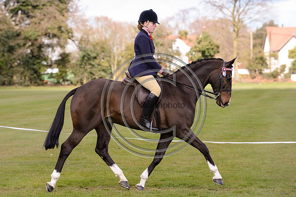 HorseNo580_BSPSArea1615pn_6840