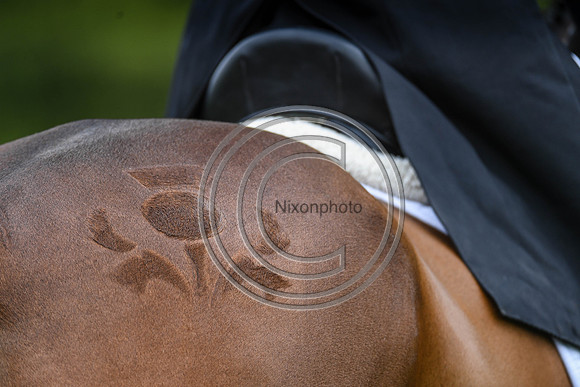 Lewis Mclean_LISSYEGAN MIKIE LOU_BHT_PN22_81375