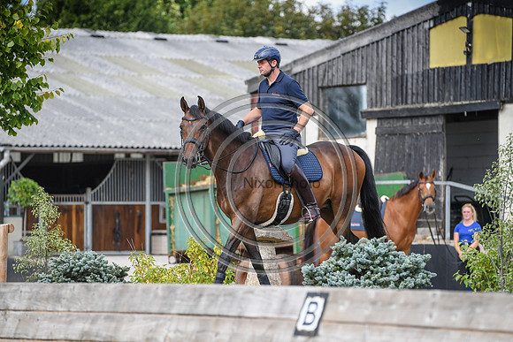 Collective Equestrian